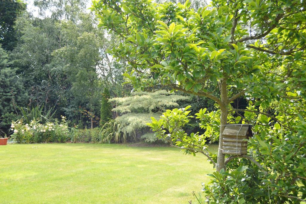 Beechwood Country House Pensionat Malahide Exteriör bild